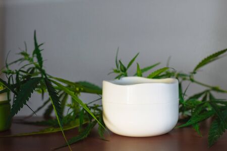 Cannabis hemp cream background with marijuana leaf - cannabis concept self care in of health care. Cosmetics with hemp extract on table. Herbal organic medicine CBD productの写真素材