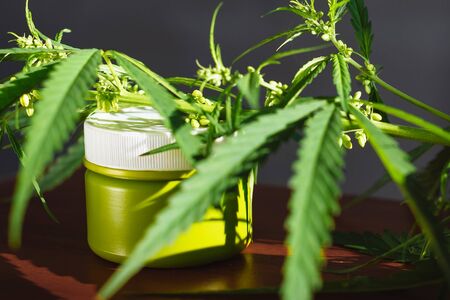 Cannabis hemp cream background with marijuana leaf - cannabis concept self care in of health care. Cosmetics with hemp extract on table. Herbal organic medicine CBD productの写真素材