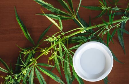 Cannabis hemp cream background with marijuana leaf - cannabis concept self care in of health care. Cosmetics with hemp extract on table. Herbal organic medicine CBD productの写真素材