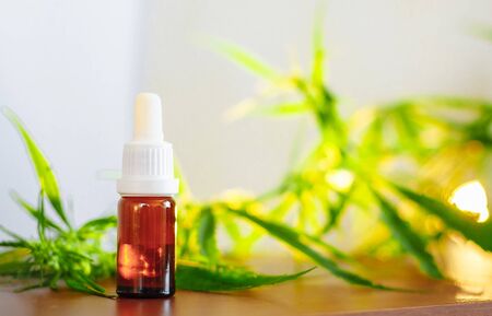 Bottle of Hemp CBD oil. Medical marijuana products including cannabis leaf, CBD and hash oil, alternative medicineの写真素材