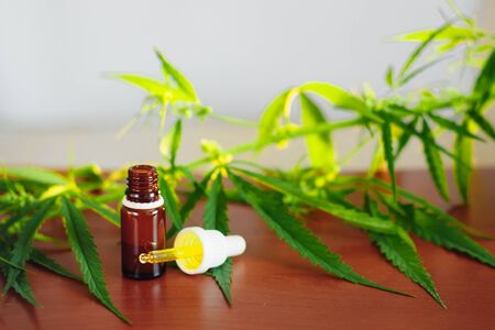 Bottle of Hemp CBD oil. Medical marijuana products including cannabis leaf, CBD and hash oil, alternative medicineの写真素材