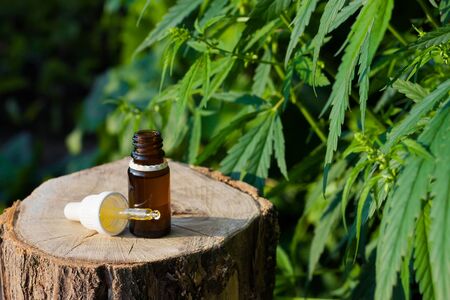 Pharmaceutical CBD oil. Herbal organic medicine product. Natural herb essential from nature. Bottle cure CBD oilの写真素材