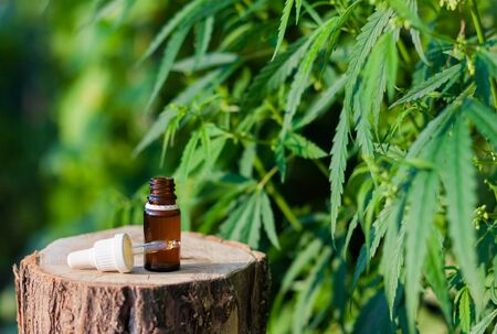 Pharmaceutical CBD oil. Herbal organic medicine product. Natural herb essential from nature. Bottle cure CBD oilの写真素材