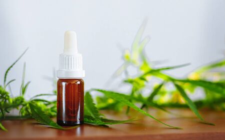 CBD oil cannabis extract. Hemp oil bottles and hemp flowers on wooden table. Medical cannabis concept. CBD Extract Tincture Liquid Drippingの写真素材