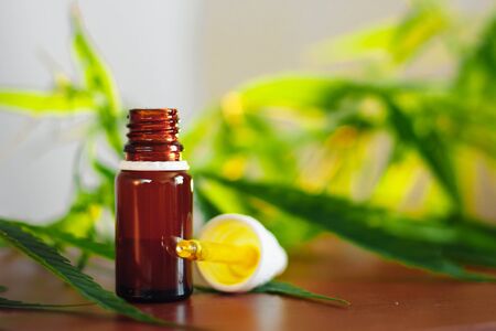 CBD oil cannabis extract. Hemp oil bottles and hemp flowers on wooden table. Medical cannabis concept. CBD Extract Tincture Liquid Drippingの写真素材