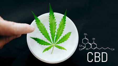 Medical marijuana concept, hemp cannabis natural products. Cannabis CBD cream. Cosmetic with hemp extract, herbal organic medicine. Cannabidiol topicals concept with copy spaceの写真素材