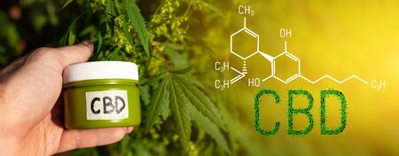 Jar of hemp lotion CBD elements in Cannabis. Cannabis Cream of formula Cannabidiol. Biological and ecological hemp plant herbal pharmaceutical CBD oil from jar. Concept of herbal alternative medicineの写真素材