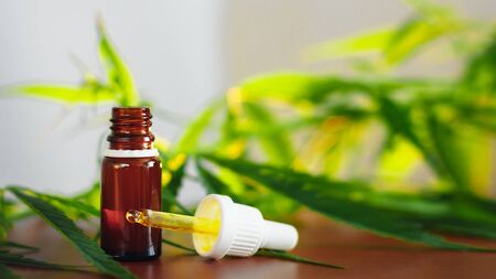 Medicinal cannabis CBD with extract oil in a bottle. Concept of herbal alternative medicine, CBD oil. Glass bottles with hemp oil among hemp leavesの写真素材