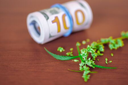 Marijuana business concept. Dollars in money tied with a rubber band with background marijuana products and businesses, CBD hemp oil from natural cannabisの写真素材