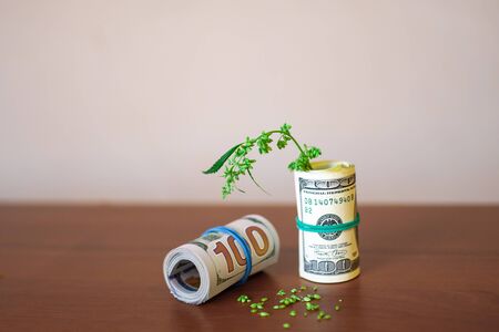 Marijuana business concept. Dollars in money tied with a rubber band with background marijuana products and businesses, CBD hemp oil from natural cannabisの写真素材