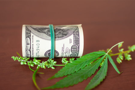 Marijuana business concept. Dollars in money tied with a rubber band with background marijuana products and businesses, CBD hemp oil from natural cannabisの写真素材