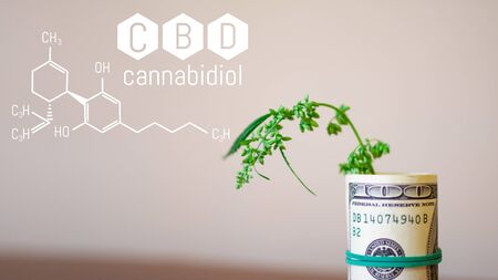 Formula CBD, American dollar on cannabis leaves, Economics of hemp industry. Tax on weed. Revenues in Marijuana and Medical Industriesの写真素材