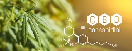 CBD Chemical Formula, Growing Marijuana, cannabinoids and health, medical marijuana, CBD elements in...