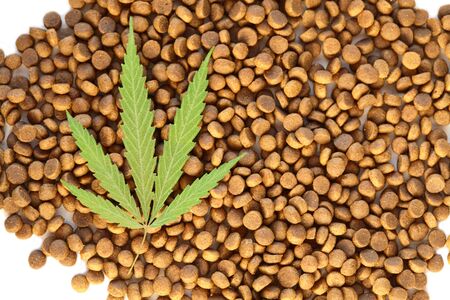 Dog and cat treats and cannabis leaves isolated over white background - CBD and medical marijuana for pets concept, Medical and recreational marijuana and cannabisの写真素材