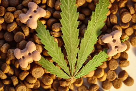 Top view green leaf of cannabis on treat pet food, cats and dogs CBD and medical marijuana. Cannabidiol CBD, medical cannabis compound used for its medicinal propertiesの写真素材