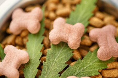 Concept of medical marijuana for pets concept. Hemp Dog Treats. Legal medicinal applications of marijuana-themed CBD food for Dogs Wellnessの写真素材