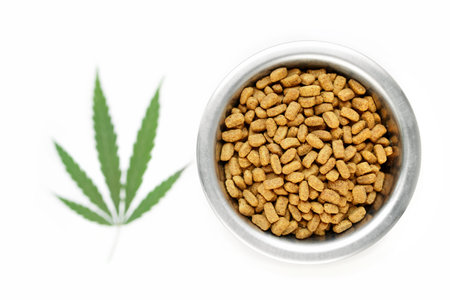 CBD food for Dogs Wellness, Natural supplements for animals and pets with medicine treats like bone....