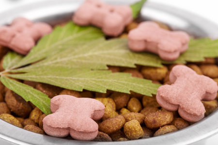 Concept food CBD pet, vitamins with CBD oil and cannabis of animal feed. Cannabidiol oil is used as...