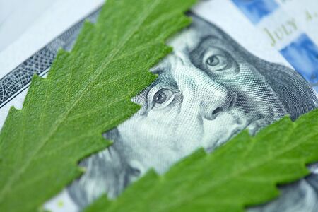 Concept of income from marijuana and the medical industry, the economy of the hemp industry. American dollar on cannabis leaf. Taxation and marijuana, weed taxの写真素材