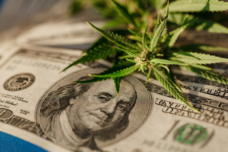 Marijuana business concept. Marijuana drug sales, revenue and profits in the growing medical...