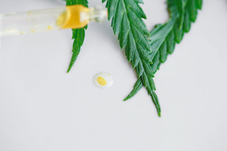 CBD hemp oil, Cannabis oil in pipette. Pipette with Cannabis oil against Marijuana plant