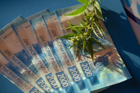 Marijuana leaf and Russian ruble banknote. Marijuana business concept. Selling marijuana drugs....