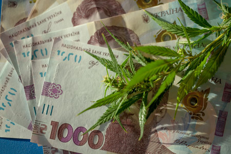 Cannabis leaves and Ukrainian hryvnia bills close-up, macroeconomics, marijuana sales, income and profits from growing medical cannabis. Marijuana business conceptの写真素材
