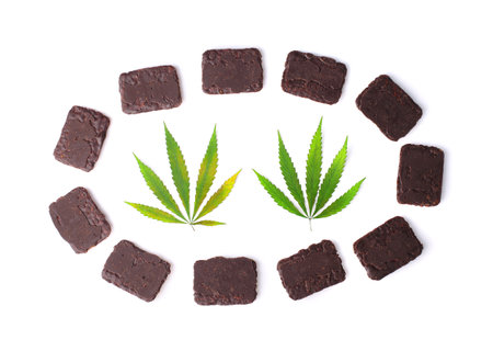 Two green hemp or cannabis leaves on white isolated background in a circle of chocolate cookies in a rectangular shapeの写真素材