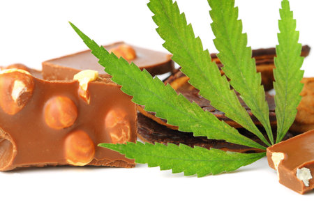 Healthy tasty chocolate chip marijuana cookie with green hemp leaf, CBD chocolate isolated white backgroundの写真素材