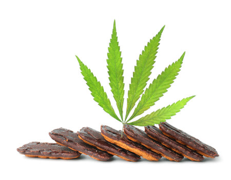 Delicious CBD cannabis chocolate chip cookie, green hemp leaves decoration on white isolated background. Medical marijuana treatment for human consumption. Rasta cookie recipeの写真素材