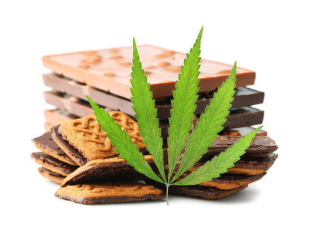 Edible cannabis from marijuana leaf with CBD content and edible chocolate on white isolated background. Hemp leaf and chocolate-coated cookiesの写真素材
