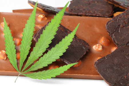 Edible cannabis from marijuana leaf with CBD content and edible chocolate on white isolated background. Hemp leaf and chocolate-coated cookiesの写真素材