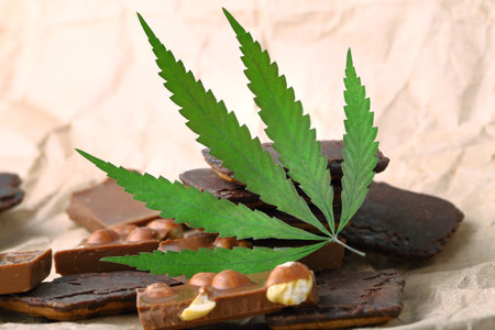 Pieces of chocolate with cannabis CBD nuts with dry green hemp leaf. Hemp biscuits covered with chocolate glaze. Marijuana sweet food conceptの写真素材