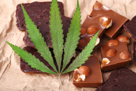 Pieces of delicious chocolate and cookies on the background of wrapping paper with a green hemp leaf. Cannabis Leaf Vegan Chocolate with CBD Supplement and Green Marijuana Leavesの写真素材