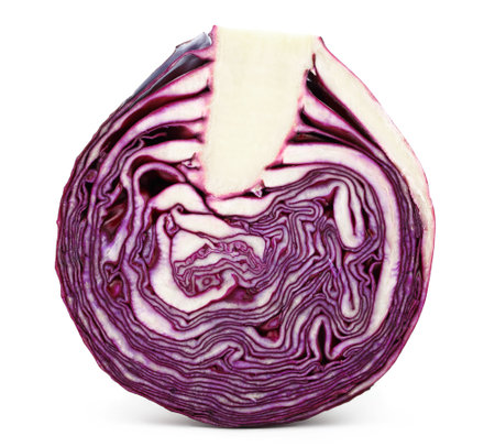 Red cabbage cut isolated on white background with clipping pathの写真素材
