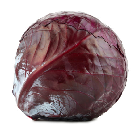 Close-up of red cabbage against on white isolated background with a slight shadowの写真素材