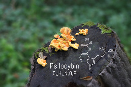 Structural chemical formula Psilocybin alkaloid molecule on a blackboard magic mushrooms. Naturally psychedelic prodrugの写真素材