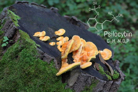 Structural chemical formula Psilocybin alkaloid molecule on a blackboard magic mushrooms. Naturally psychedelic prodrugの写真素材