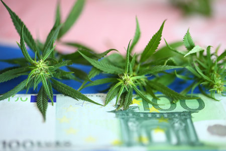 Euro banknote and marijuana flower and hashish drug. Legalization of marijuan. Incomes from products made from cannabis concept.の写真素材