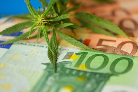 Euro banknote and marijuana flower and hashish drug. Legalization of marijuan. Incomes from products made from cannabis concept.の写真素材