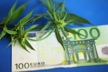 Cannabis, weed to be smoked, THC and CBD - marijuana flower and hashish drug illegal with Euro bills money. Smoke addiction marijuanaの写真素材