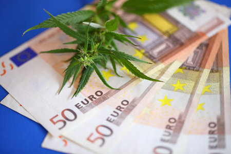 Therapeutic medicinal cannabis for pain, plus THC and CBD - marijuana flower and hashish drug with euro bills moneyの写真素材