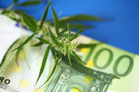 Therapeutic medicinal cannabis for pain, plus THC and CBD - marijuana flower and hashish drug with euro bills moneyの写真素材