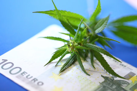 Euro banknote and marijuana flower and hashish drug. Legalization of marijuan. Incomes from products made from cannabis concept.の写真素材