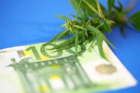 Revenues in the marijuana industry, Euro banknote on cannabis, taxation and marijuana. Economy of hemp industry. Tax on weed. Cannabis financeの写真素材