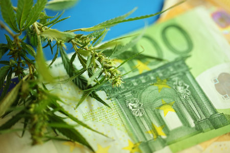Cannabis, weed to be smoked, THC and CBD - marijuana flower and hashish drug illegal with Euro bills money. Smoke addiction marijuanaの写真素材