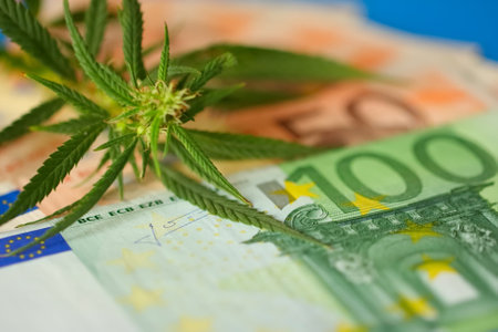Cannabis, weed to be smoked, THC and CBD - marijuana flower and hashish drug illegal with Euro bills money. Smoke addiction marijuanaの写真素材