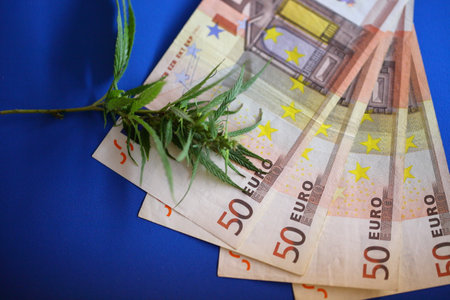 Euro banknote and marijuana flower and hashish drug. Legalization of marijuan. Incomes from products made from cannabis concept.の写真素材