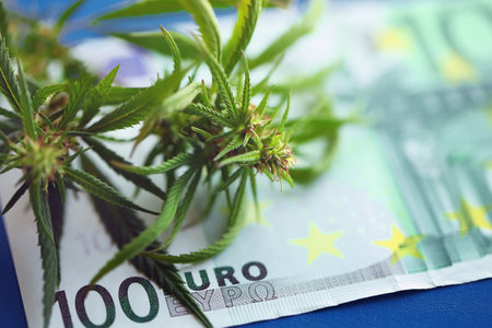 One hundred euro bill and hemp or cannabis. Marijuana and cash, drug trafficking cannabis marijuana...