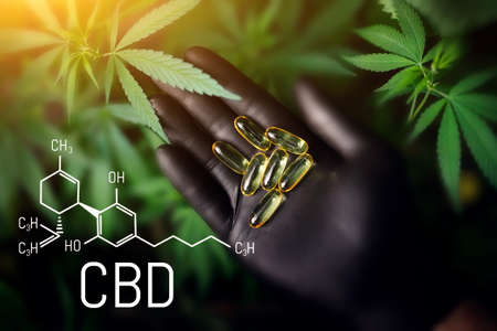 CBD Cannabis Formula, CBD Cannabis Tablets, Clear Cannabidiol Capsules and Green Hemp Leavesの写真素材